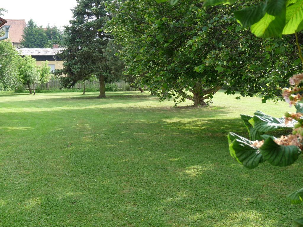 Ferienhaus Muehlblick Oberdachstetten Стая снимка